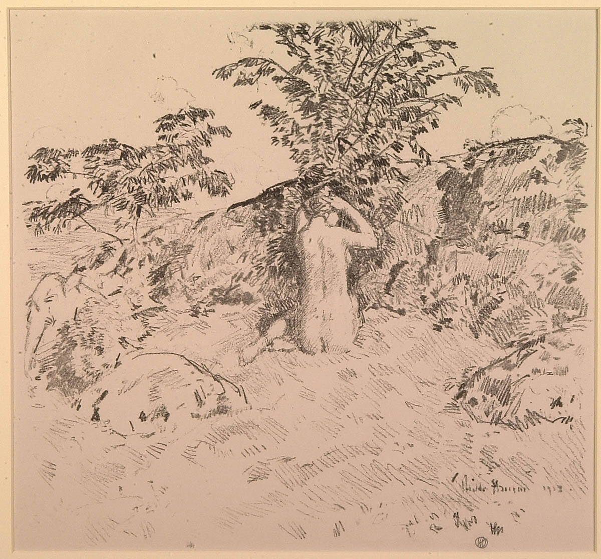 The Wild Cherry Tree