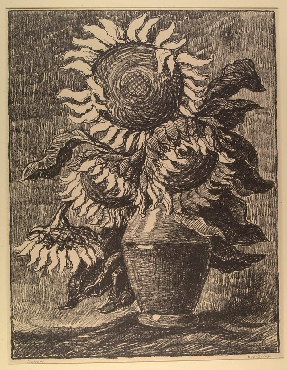 Sunflowers