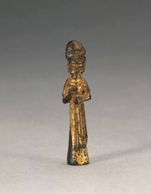 Attendant Female Donor