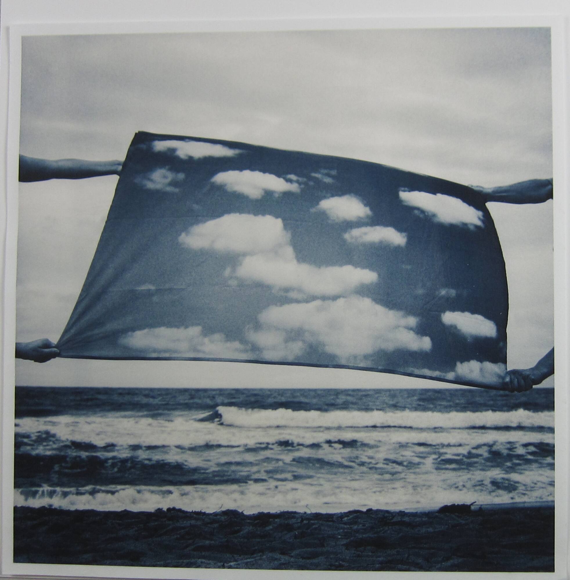 Sharon Lee Hart