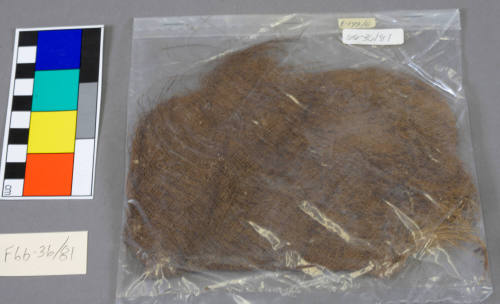 Section of Rope