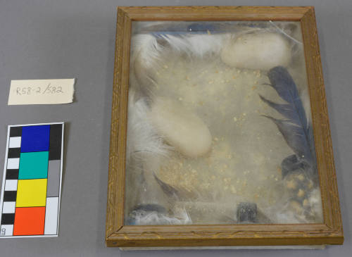 Framed Artifacts
