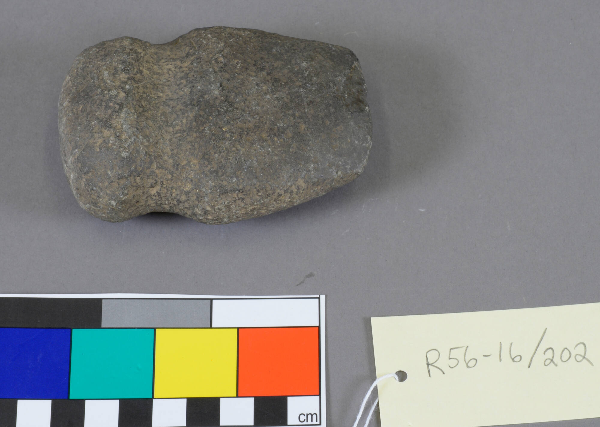 Axe head, grooved, edge chipped