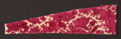 Fragment