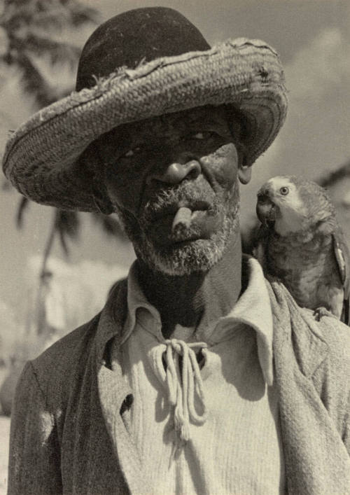 Native of Pernambuco, Brazil, with parrot