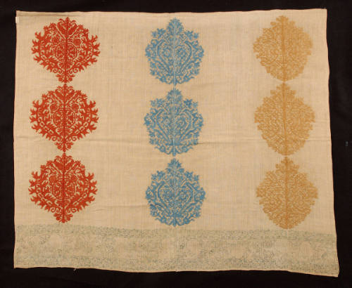 Cloth