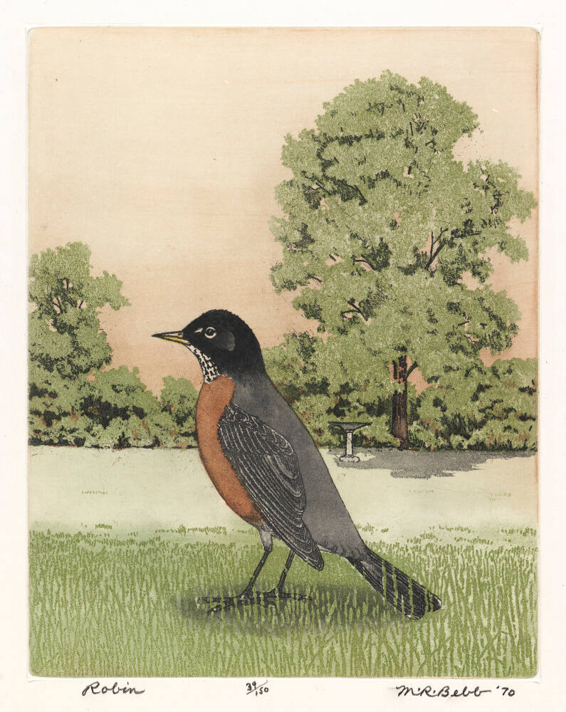 Robin