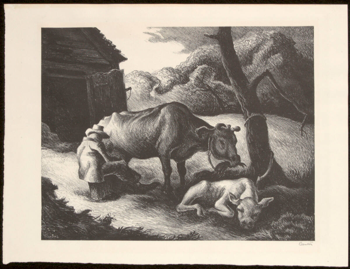 White Calf