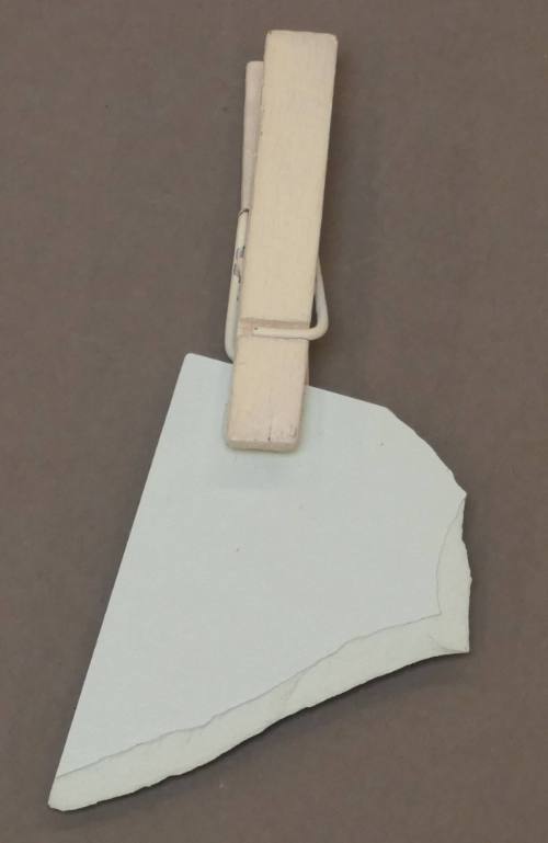 Pin