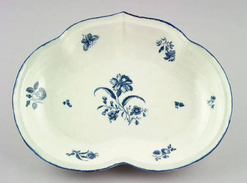 Dish