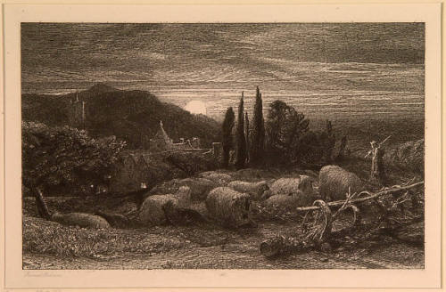 The Rising Moon