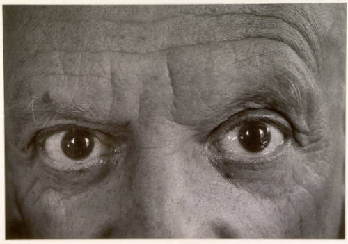 Extreme Closeup of Picasso's Eyes