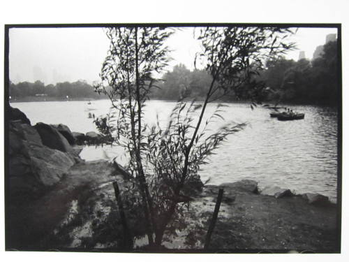 Central Park, New York, July