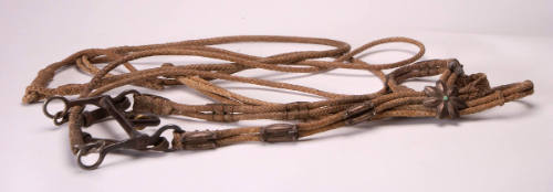 Bridle