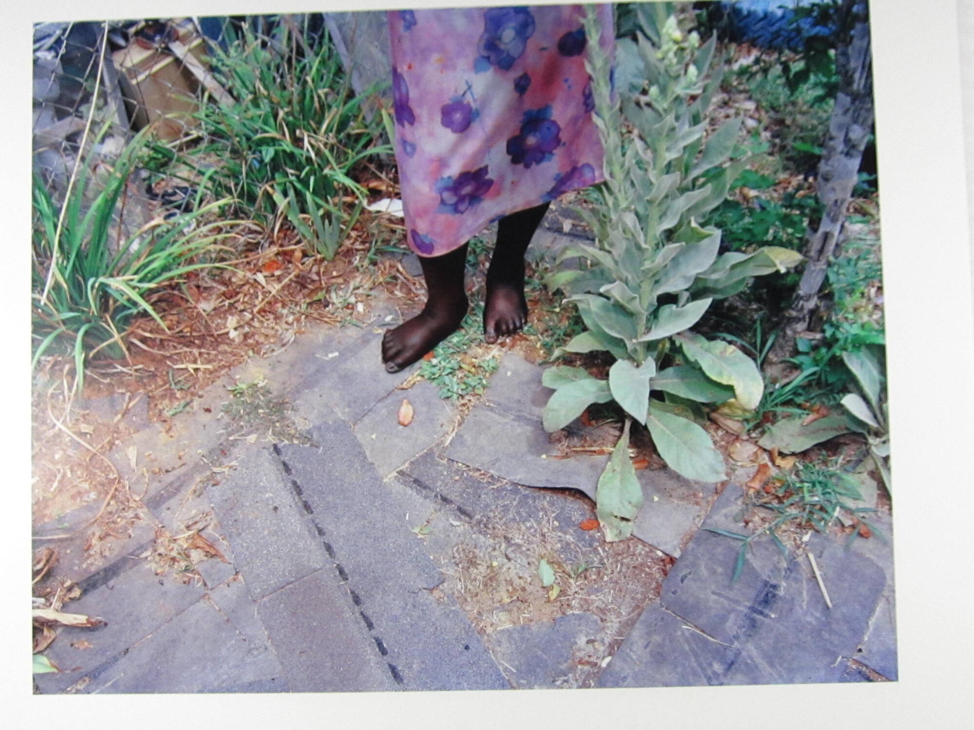 Mrs. L. V. Hull's Feet, MS