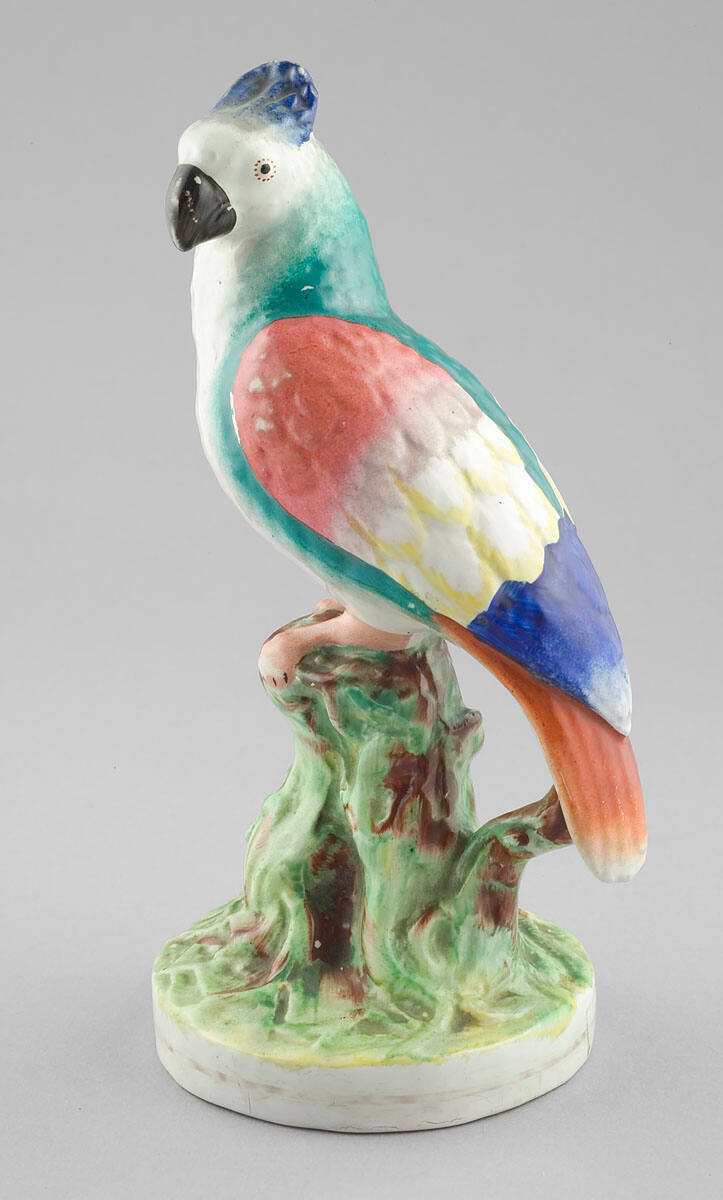 Figure of a Parrot