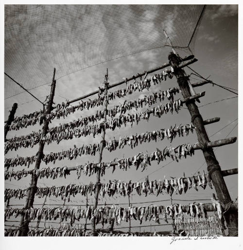 Market, Bombay, India