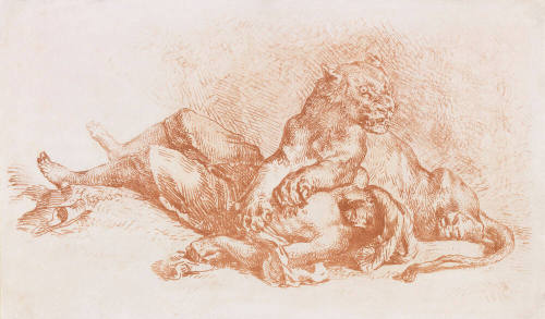 Lioness Ripping Apart an Arab's Chest