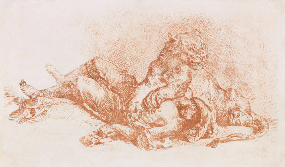 Lioness Ripping Apart an Arab's Chest