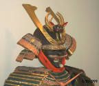 helmet overall in situ