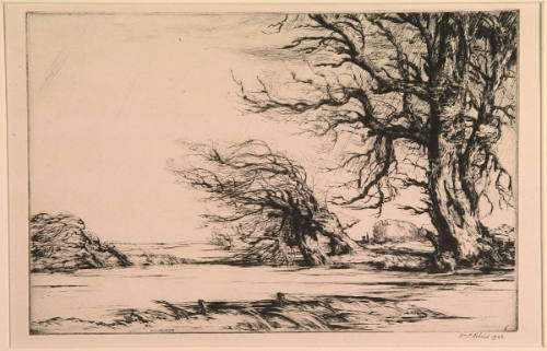 Storm and Flood