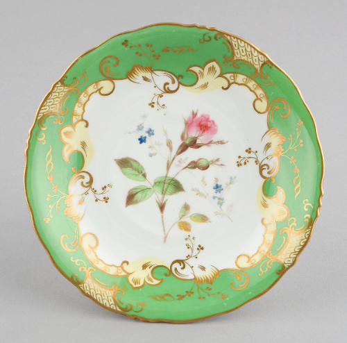Saucer