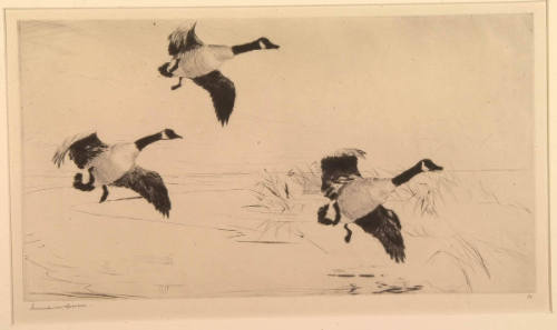 Three Geese