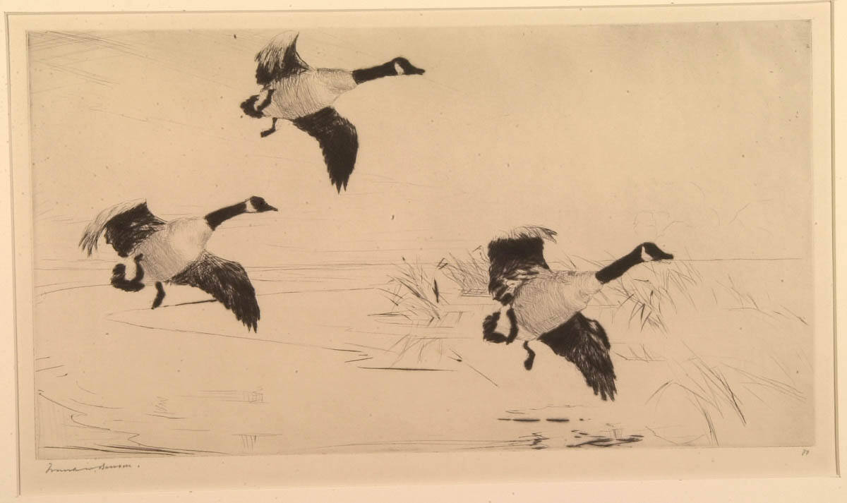 Three Geese