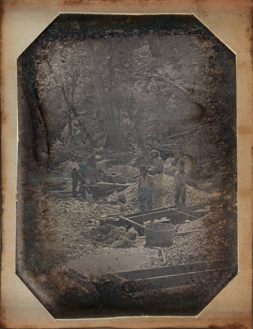 image overall