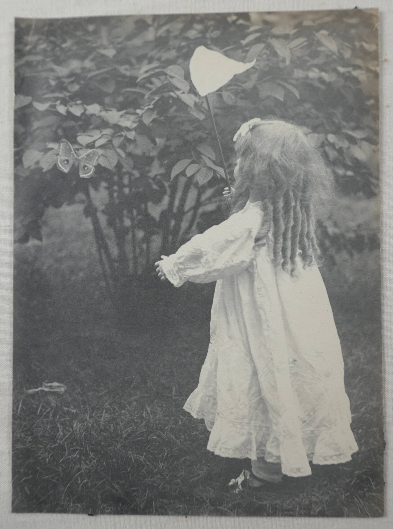 Catching butterflies