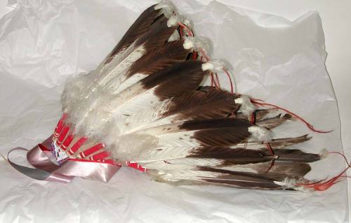 War Bonnet