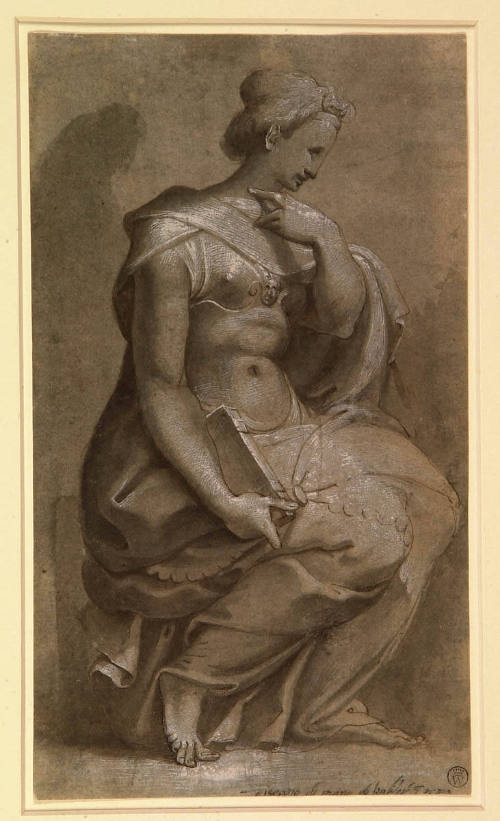 Polidoro Caldara