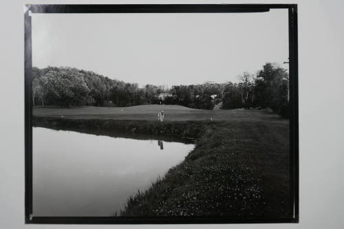 Dog, Shelburne, Vermont