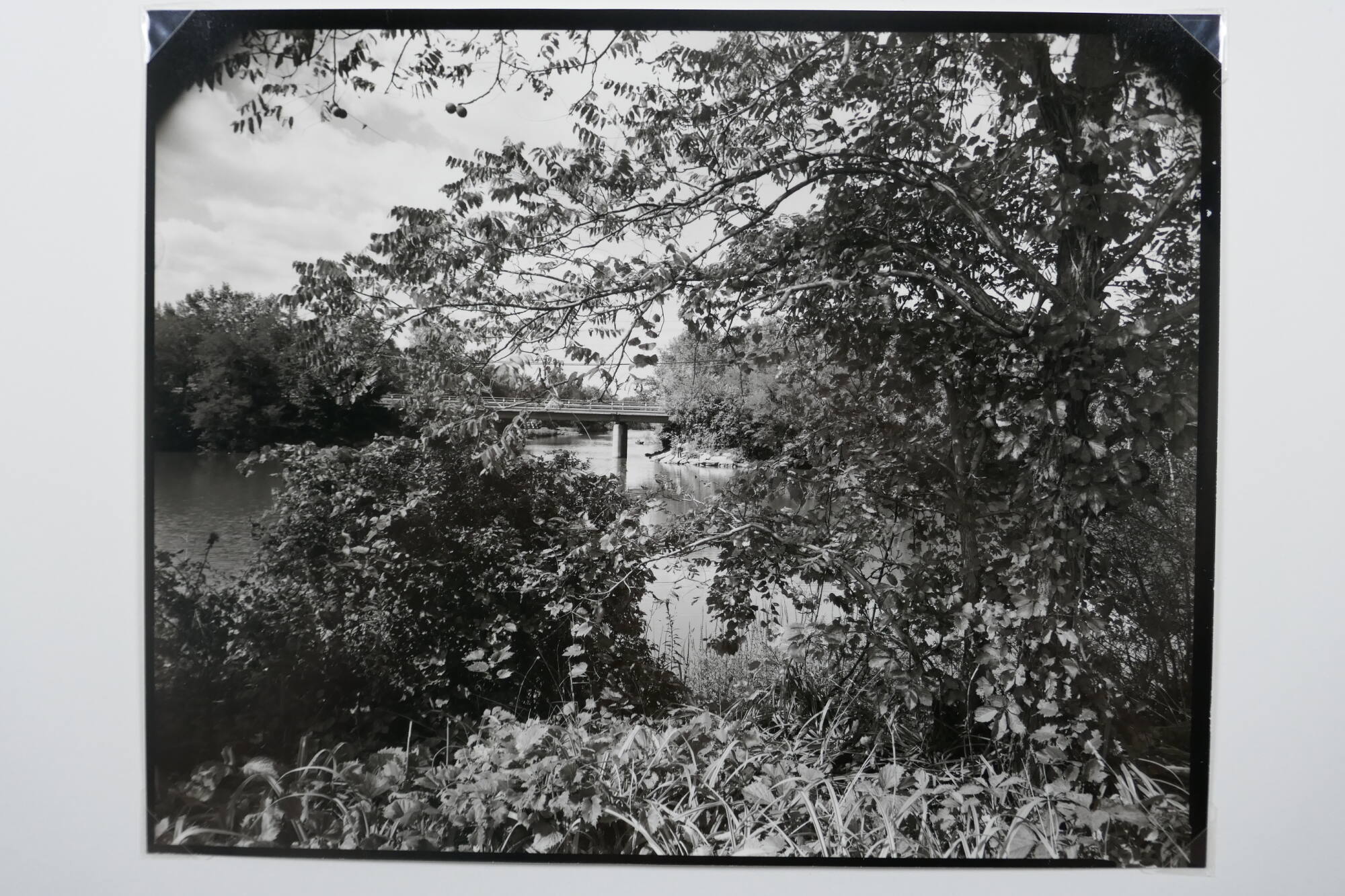 Fisherman on Bank, Genesee River, Henrietta, New York