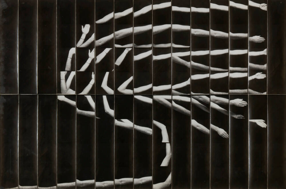 Jared Bark