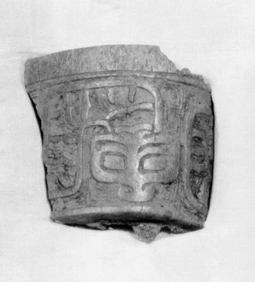Bone Fragment