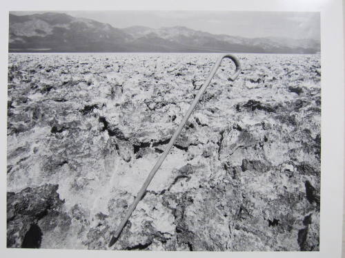 Cane, Death Valley, California