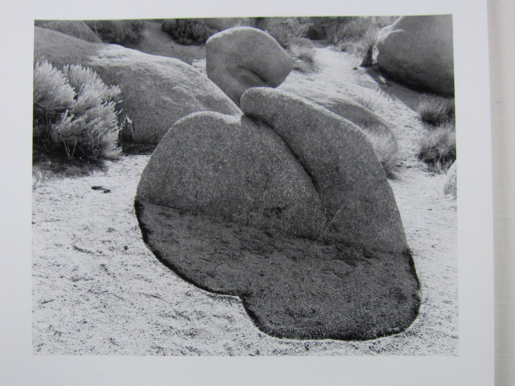 Joshua Tree National Park, California, USA