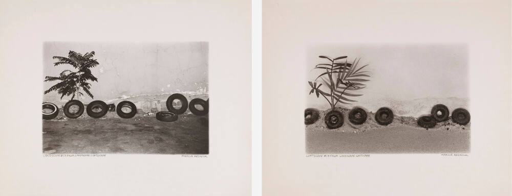 Landscape/Loftscape #13