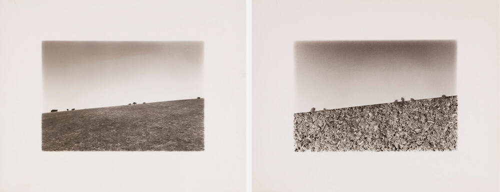 Landscape/Loftscape #16