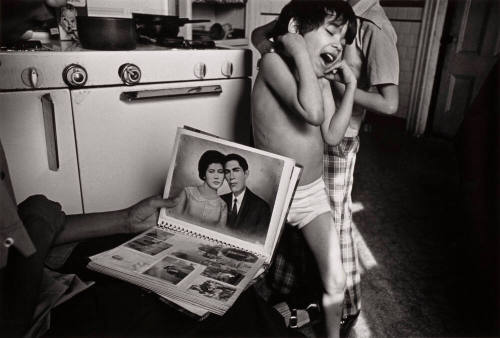 Family Album, Dorchester, Massachusetts