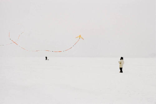 Kite Flying 1