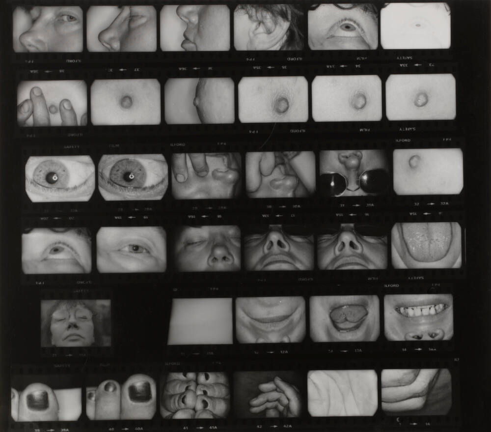 Untitled (Self-portrait)