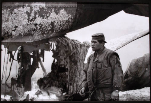 Untitled (Khe Sanh), No. 220-221