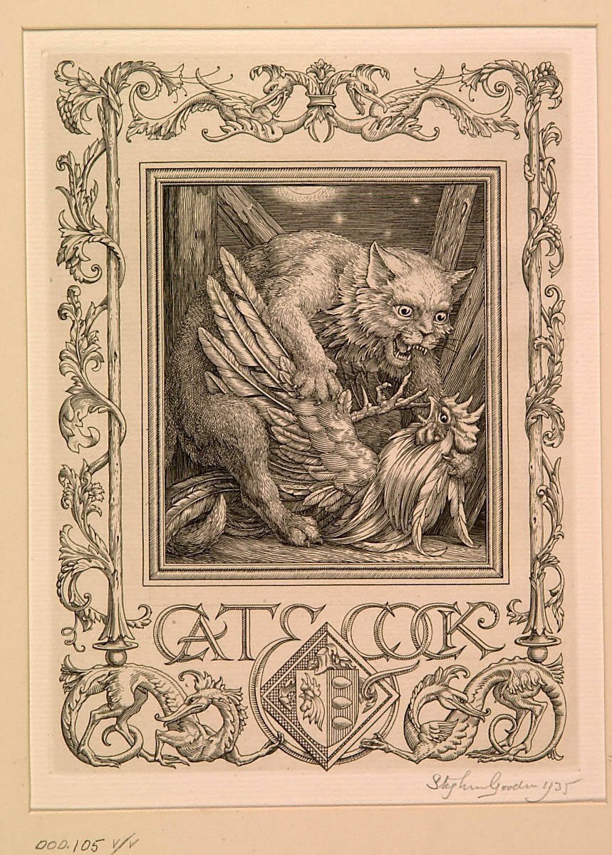 Cat and Cock