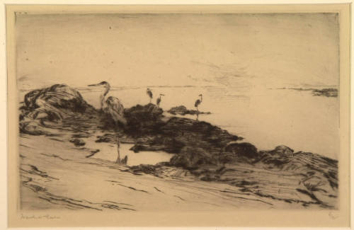 Low Tide