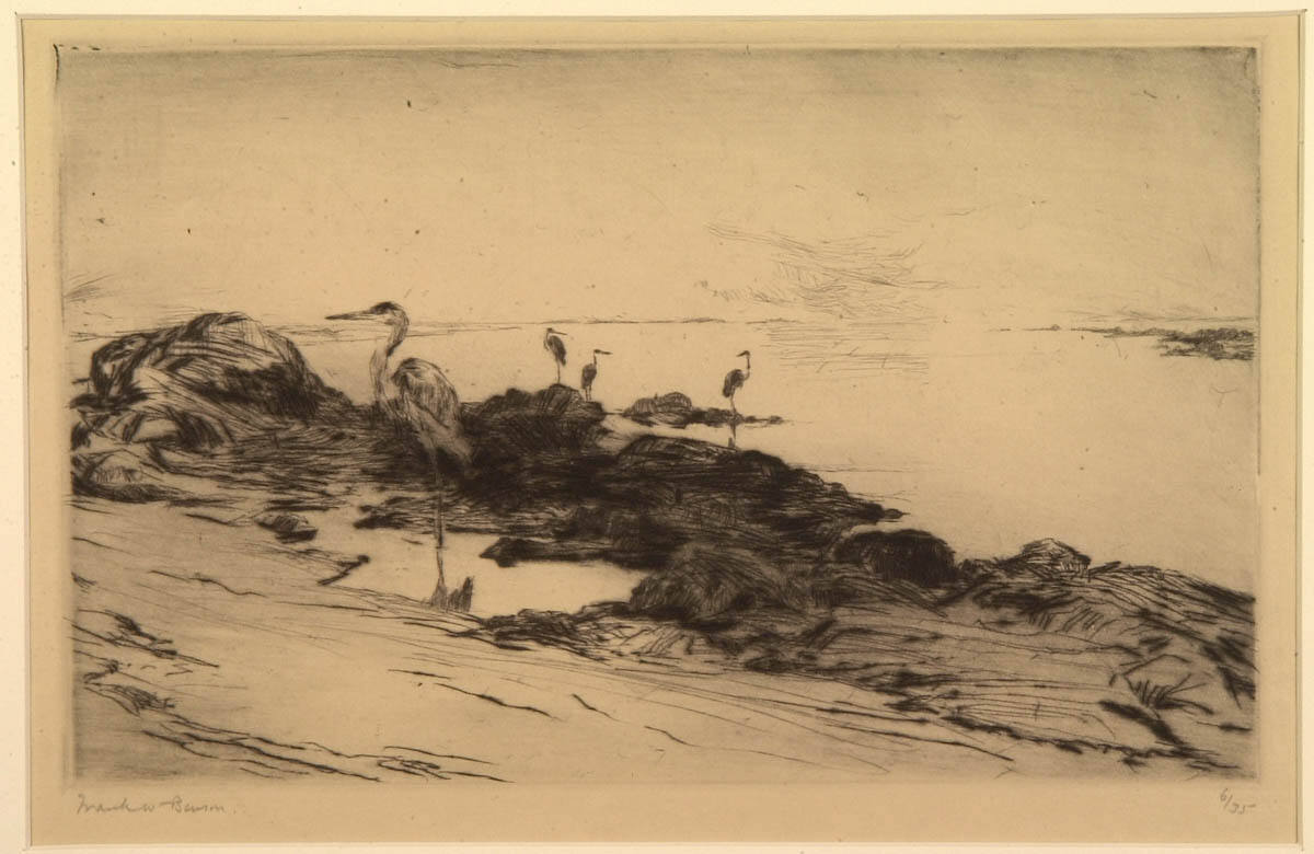 Low Tide