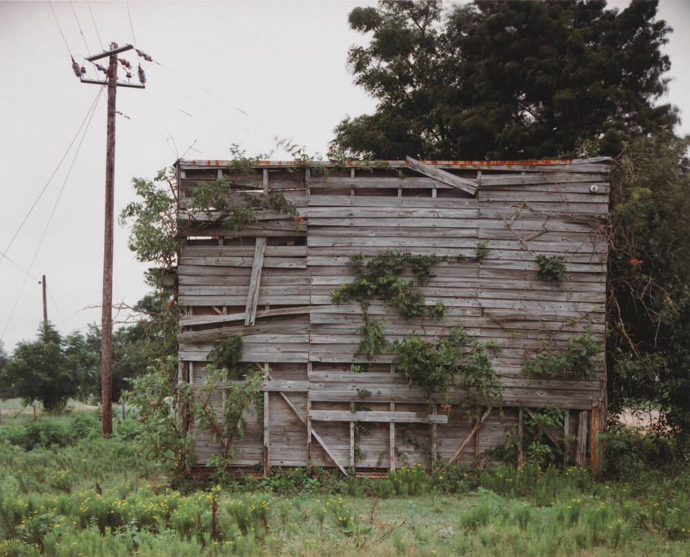 South End of Palmist Building, Havana Junction, Alabama