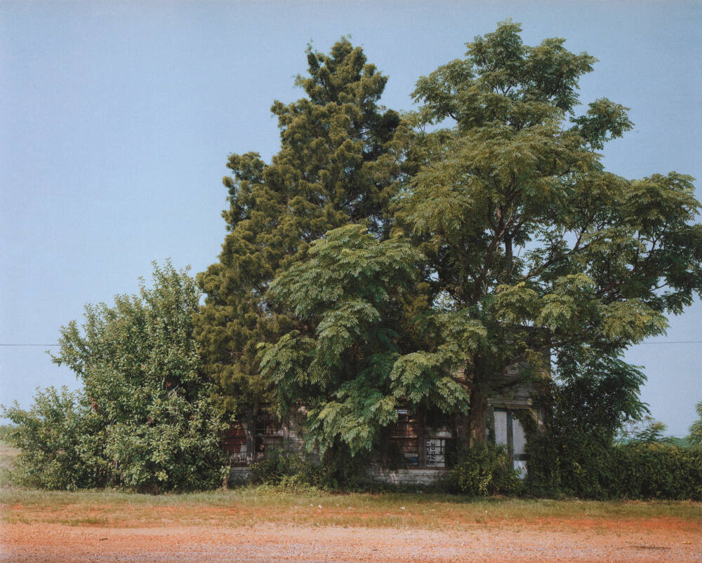 Palmist Building (Summer), Havana, Junction, Alabama