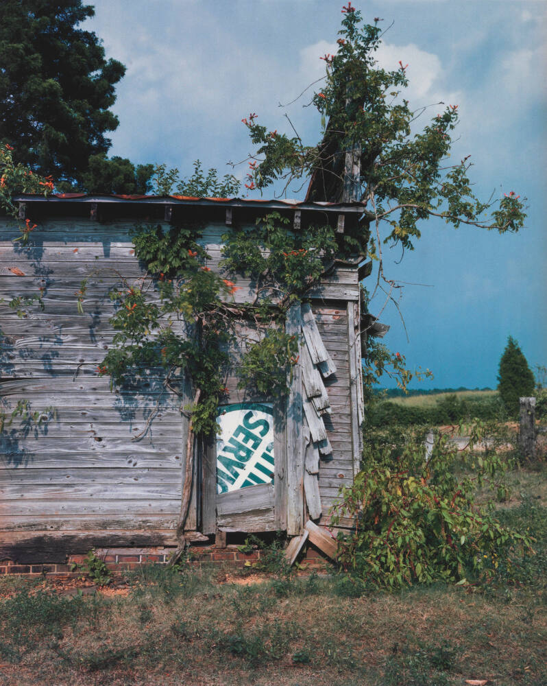 Rear Door of Palmist Building, Havana Junction, Alabama